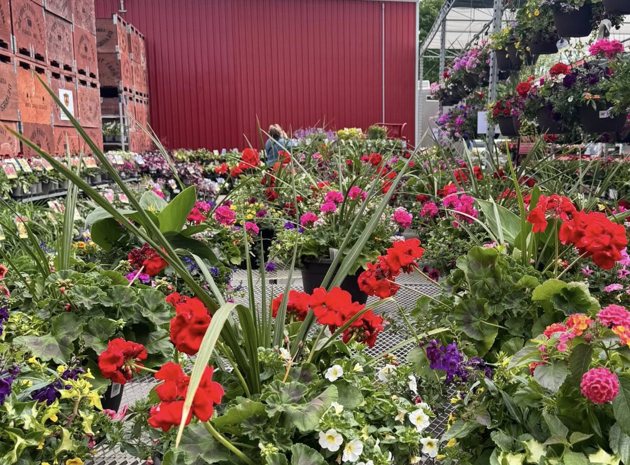 Niagara Apple Orchard