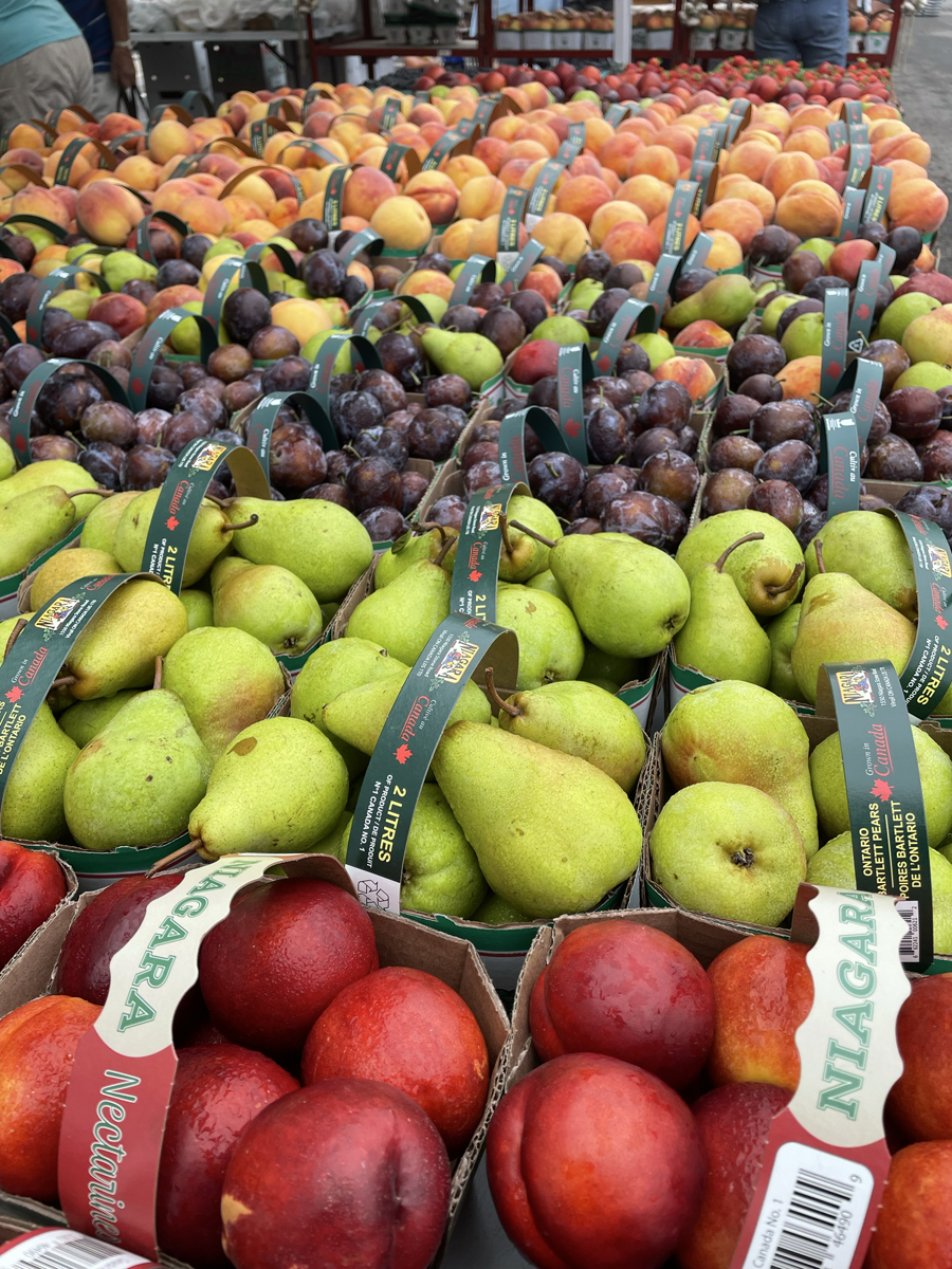 Fresh Ontario Farm Produce